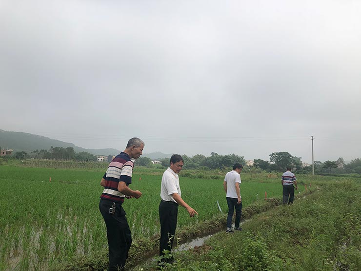 888集团电子游戏(中国游)有限公司官网