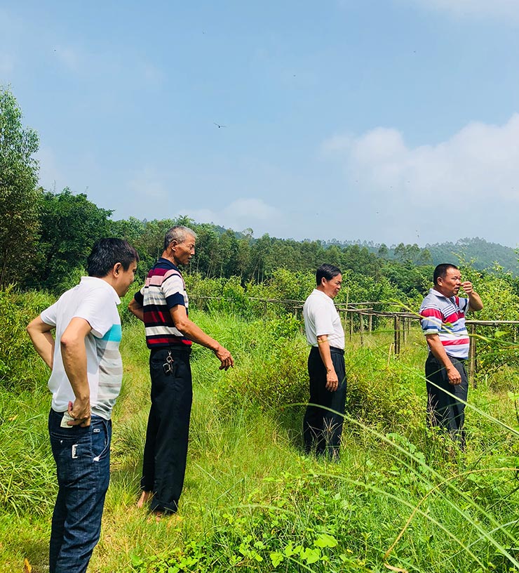888集团电子游戏(中国游)有限公司官网