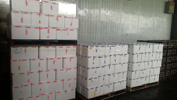 888集团电子游戏(中国游)有限公司官网