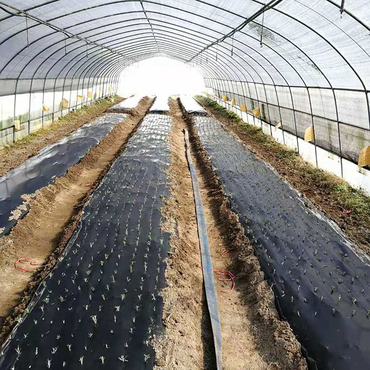 888集团电子游戏(中国游)有限公司官网