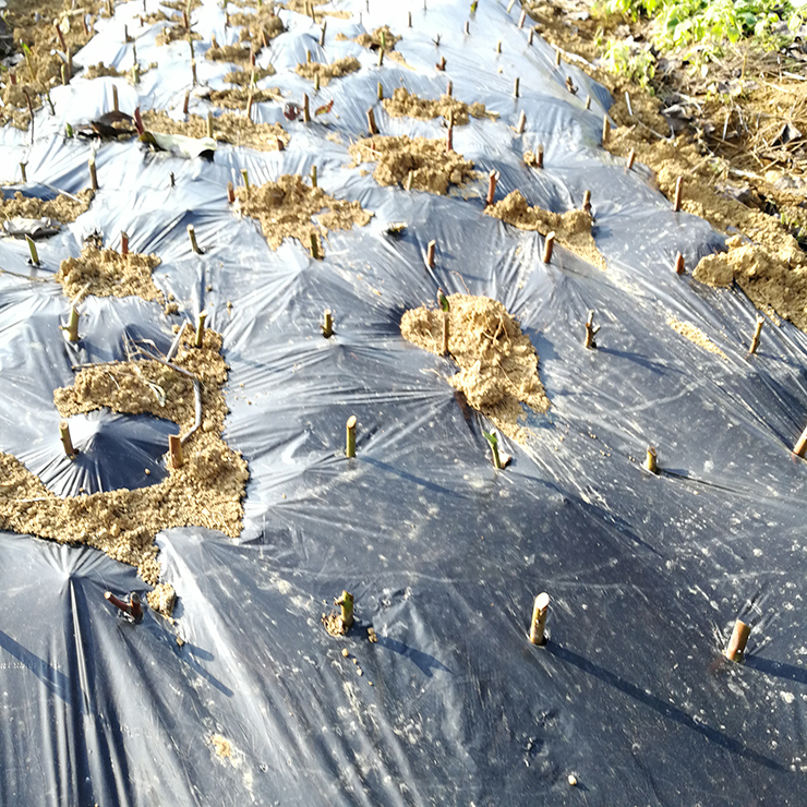 888集团电子游戏(中国游)有限公司官网