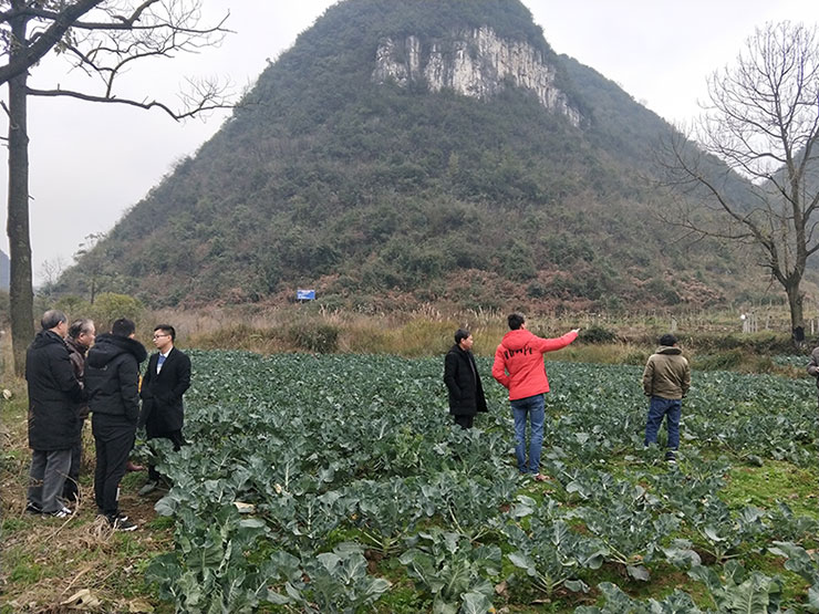 888集团电子游戏(中国游)有限公司官网