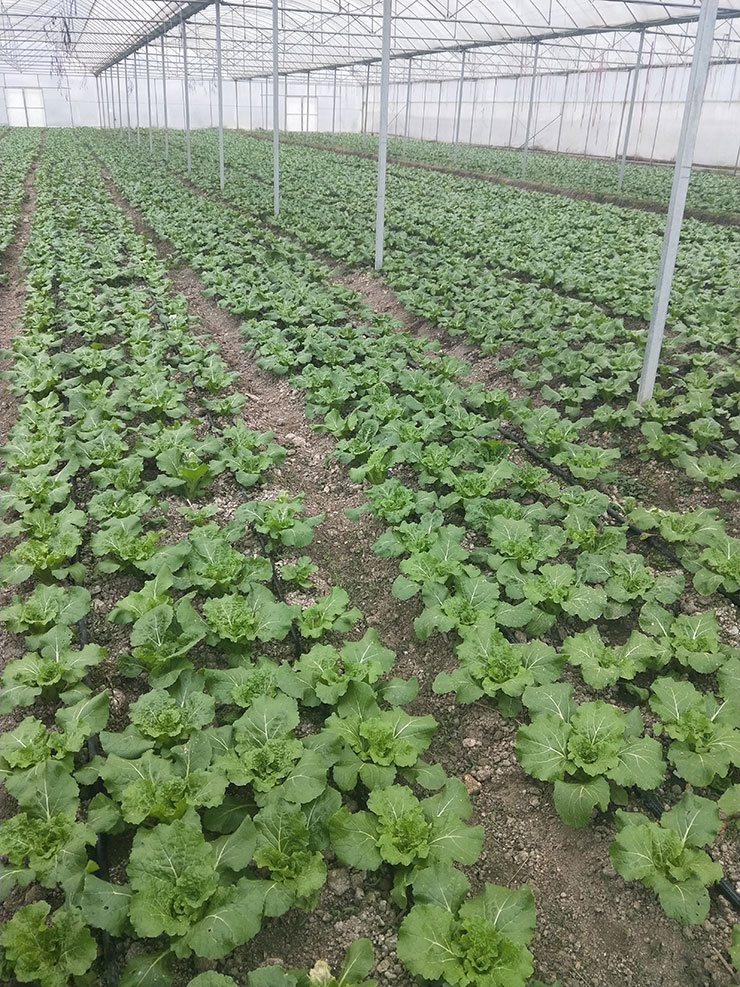 888集团电子游戏(中国游)有限公司官网