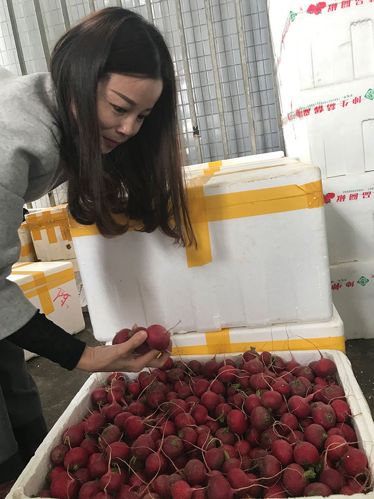 888集团电子游戏(中国游)有限公司官网