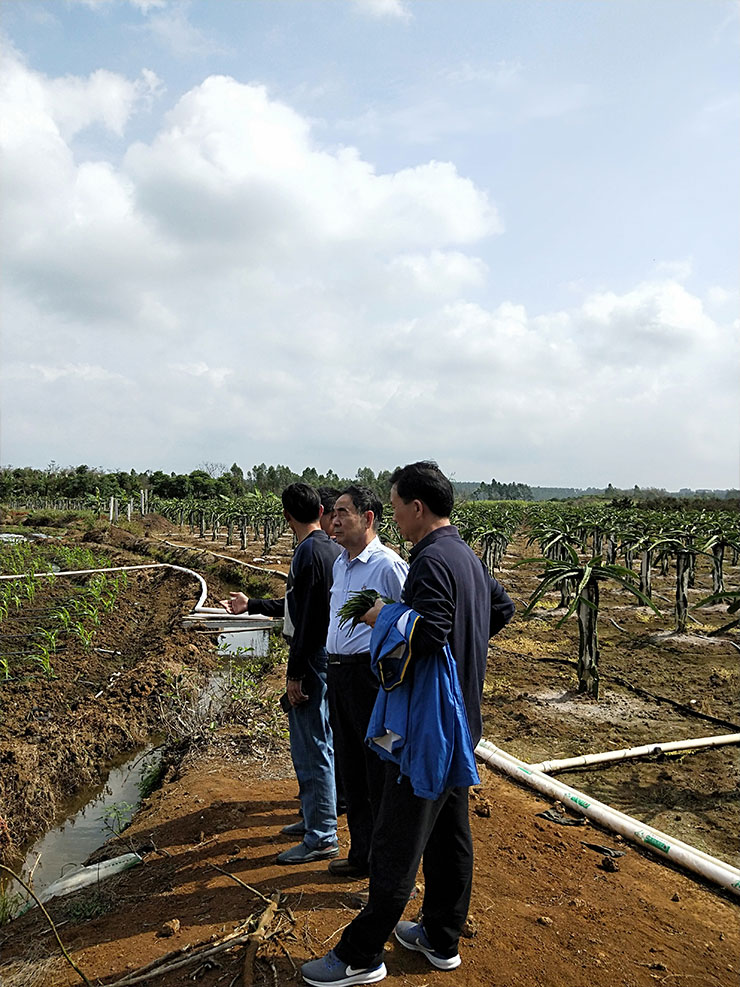 888集团电子游戏(中国游)有限公司官网