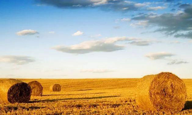 888集团电子游戏(中国游)有限公司官网