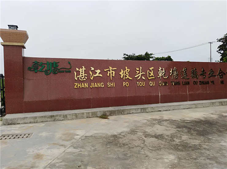 888集团电子游戏(中国游)有限公司官网