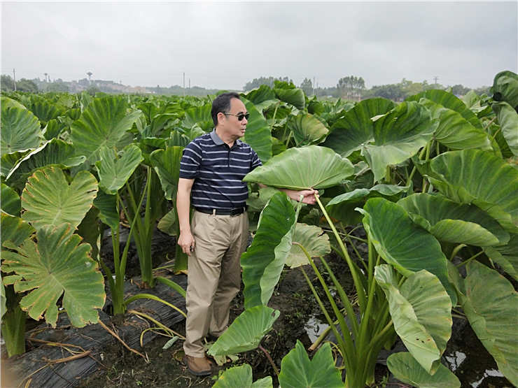 888集团电子游戏(中国游)有限公司官网
