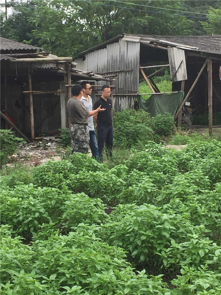 888集团电子游戏(中国游)有限公司官网