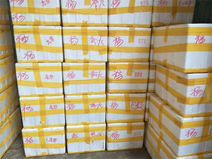 888集团电子游戏(中国游)有限公司官网