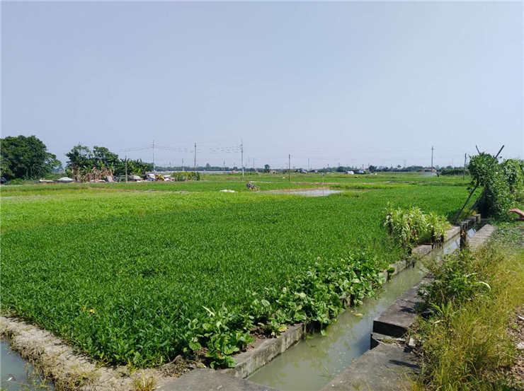 888集团电子游戏(中国游)有限公司官网