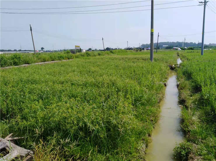 888集团电子游戏(中国游)有限公司官网