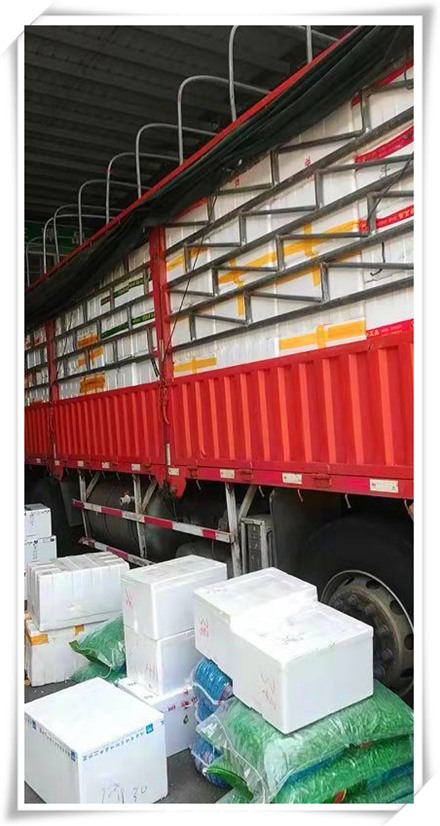 888集团电子游戏(中国游)有限公司官网