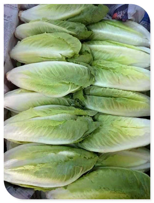 888集团电子游戏(中国游)有限公司官网