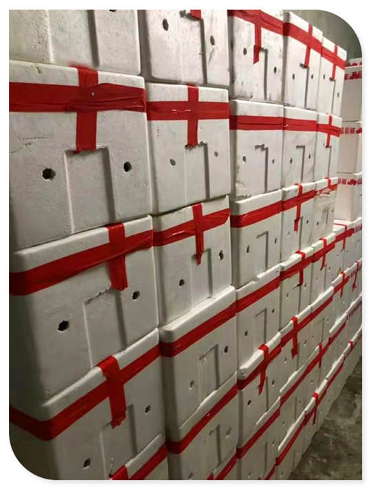 888集团电子游戏(中国游)有限公司官网