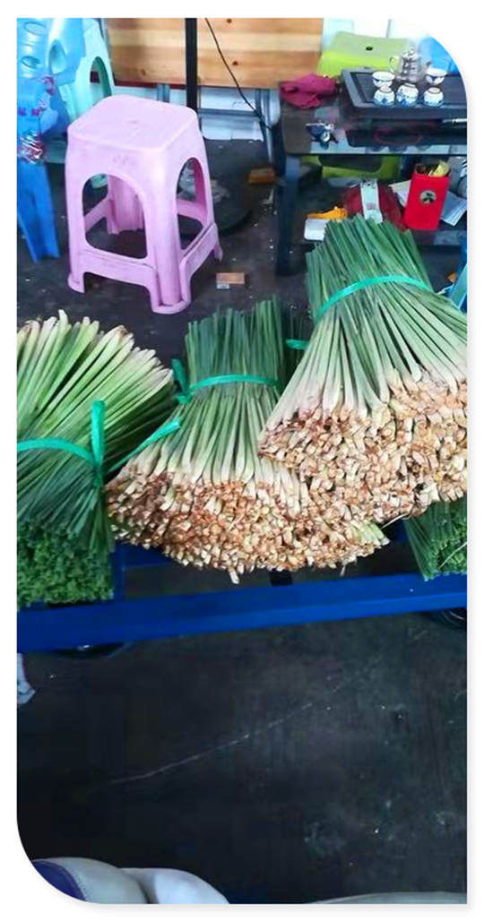 888集团电子游戏(中国游)有限公司官网