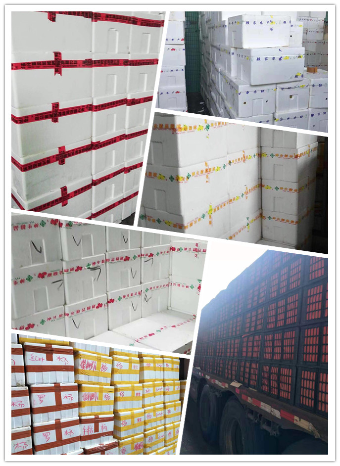 888集团电子游戏(中国游)有限公司官网