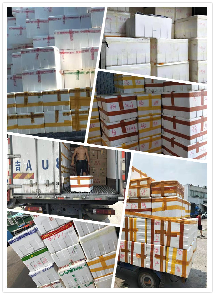 888集团电子游戏(中国游)有限公司官网