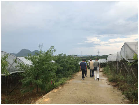 888集团电子游戏(中国游)有限公司官网