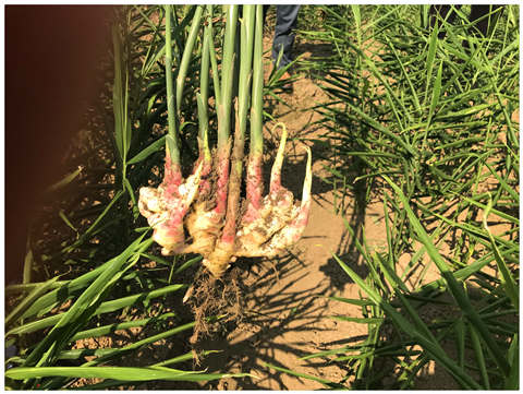 888集团电子游戏(中国游)有限公司官网