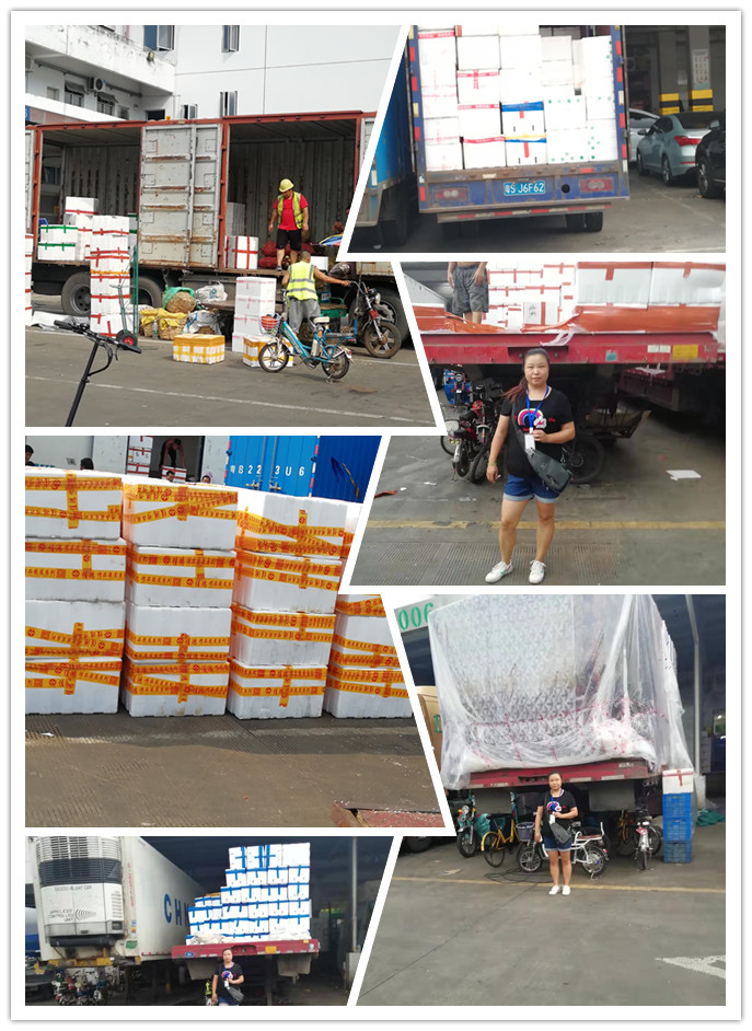 888集团电子游戏(中国游)有限公司官网