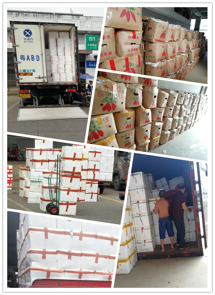 888集团电子游戏(中国游)有限公司官网