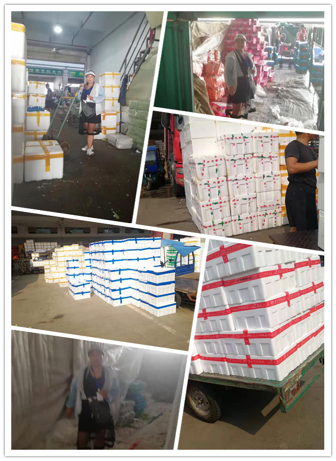 888集团电子游戏(中国游)有限公司官网