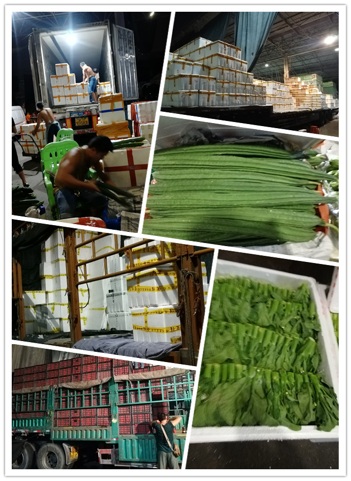 888集团电子游戏(中国游)有限公司官网