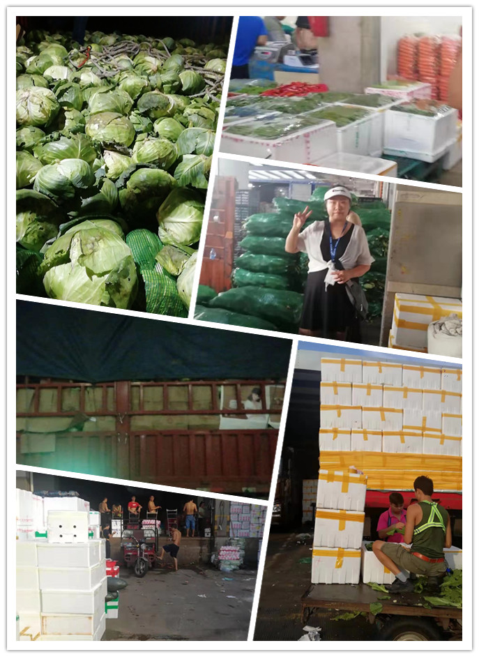 888集团电子游戏(中国游)有限公司官网