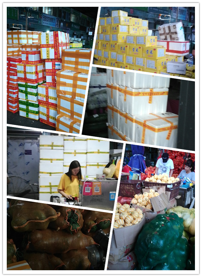 888集团电子游戏(中国游)有限公司官网