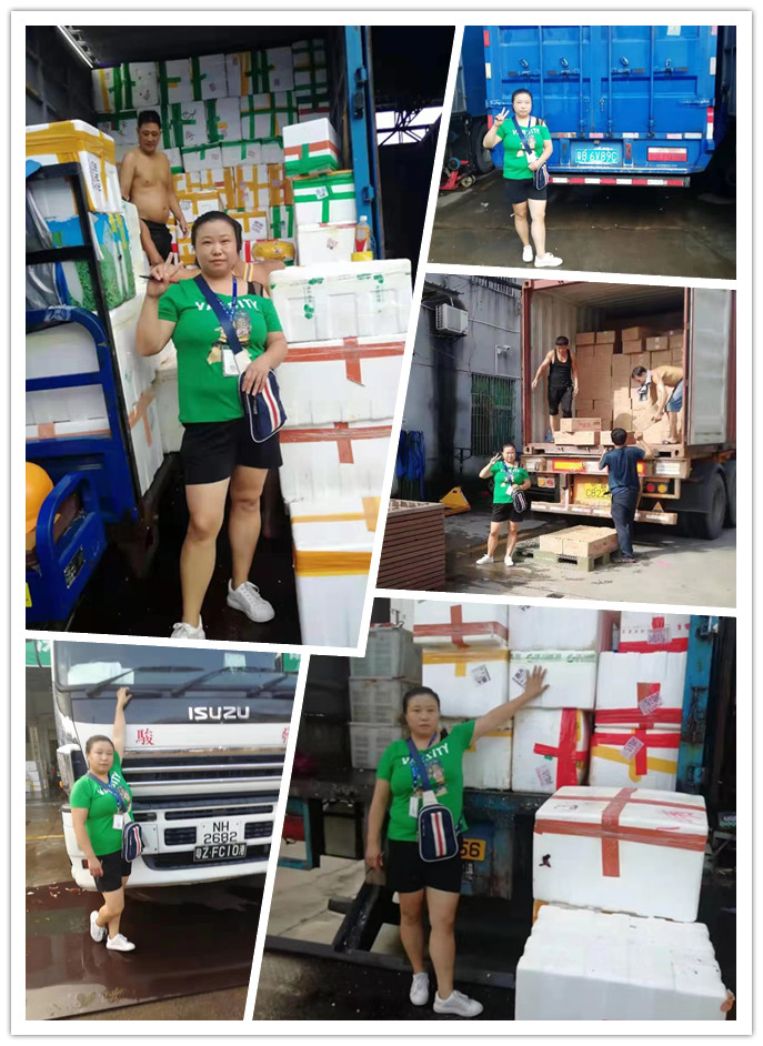 888集团电子游戏(中国游)有限公司官网