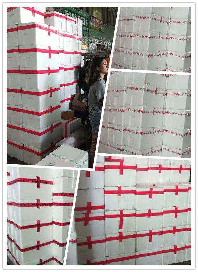 888集团电子游戏(中国游)有限公司官网