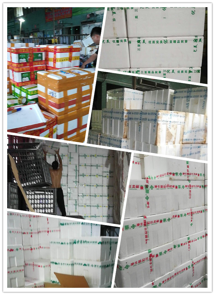 888集团电子游戏(中国游)有限公司官网