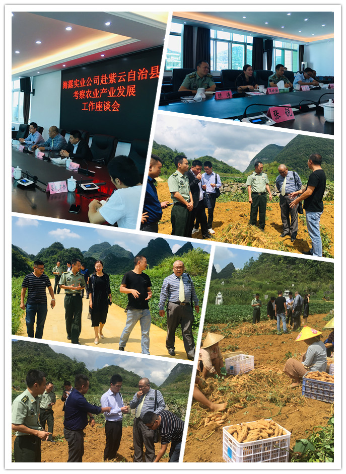 888集团电子游戏(中国游)有限公司官网