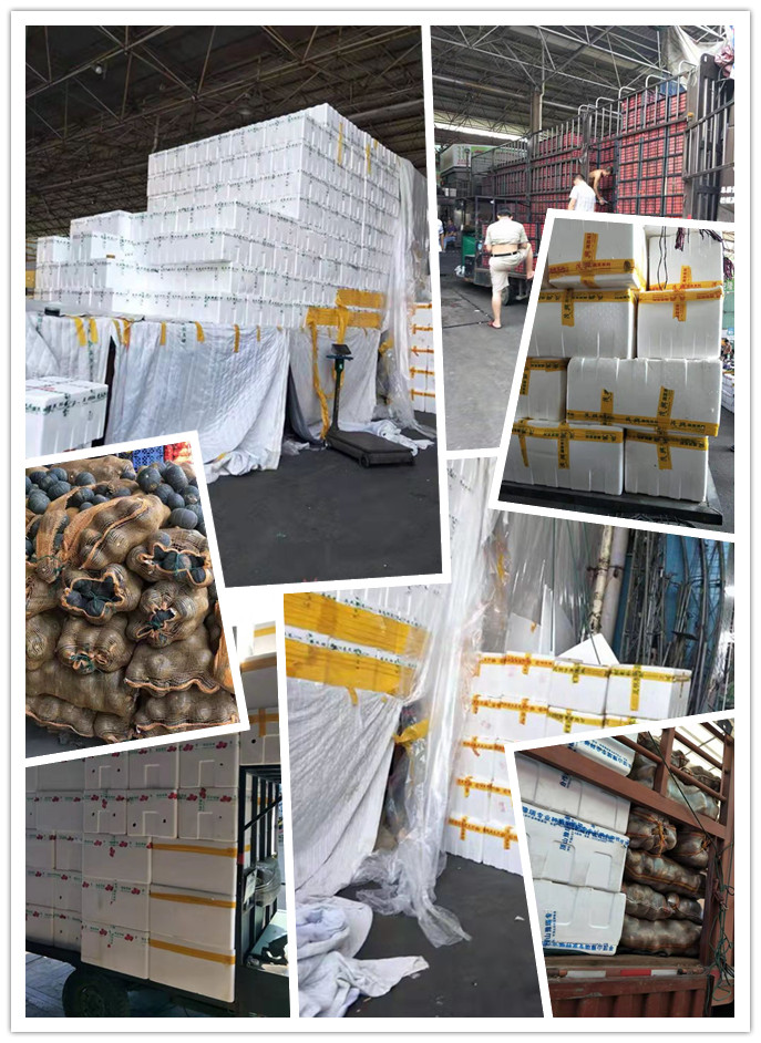 888集团电子游戏(中国游)有限公司官网