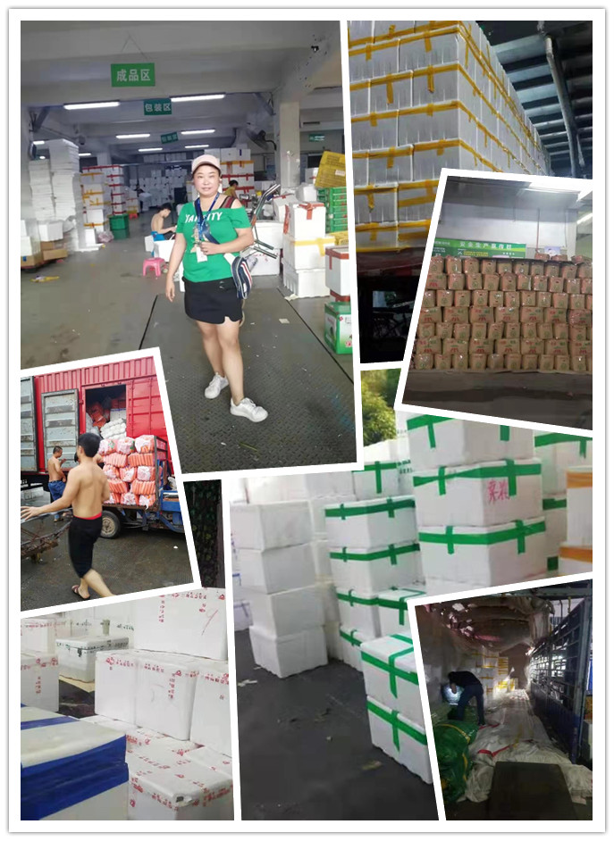 888集团电子游戏(中国游)有限公司官网