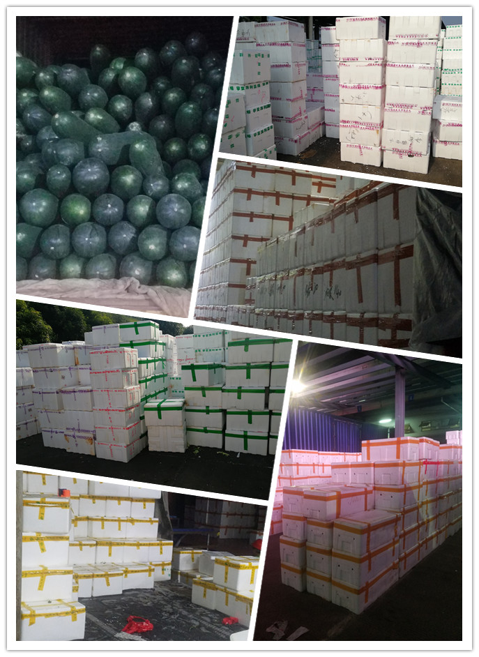 888集团电子游戏(中国游)有限公司官网