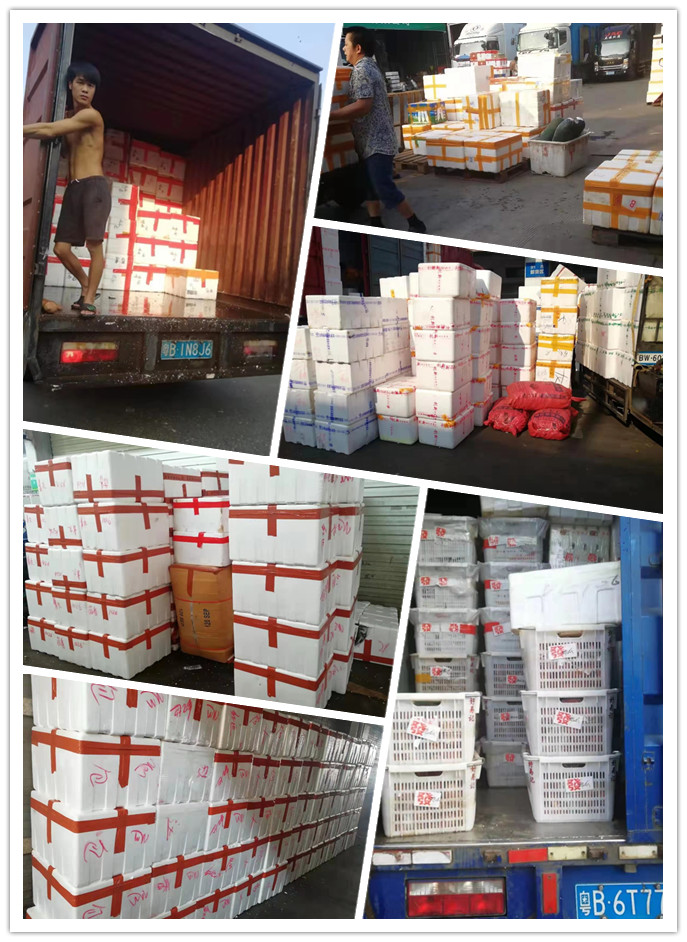 888集团电子游戏(中国游)有限公司官网