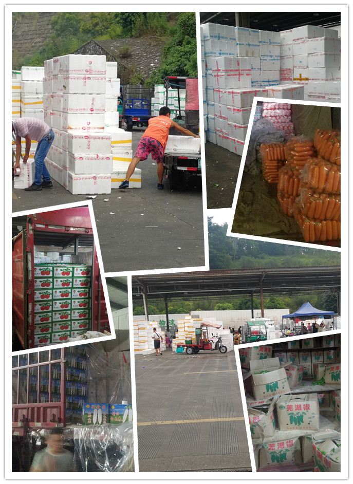 888集团电子游戏(中国游)有限公司官网