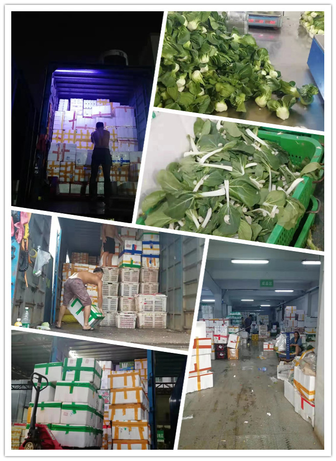 888集团电子游戏(中国游)有限公司官网