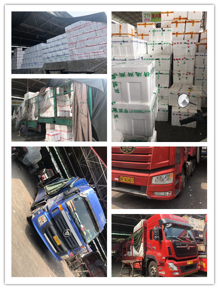 888集团电子游戏(中国游)有限公司官网