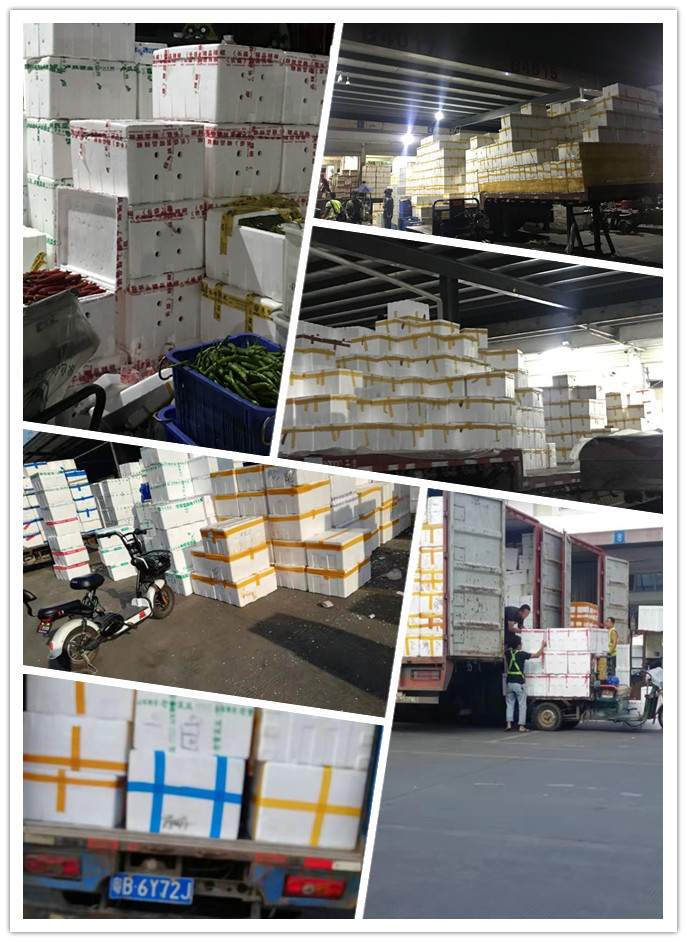 888集团电子游戏(中国游)有限公司官网