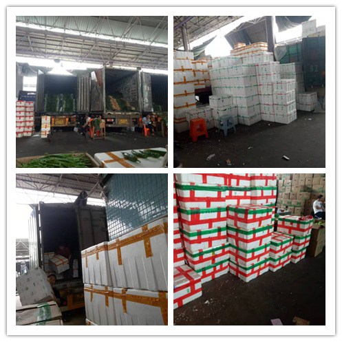 888集团电子游戏(中国游)有限公司官网