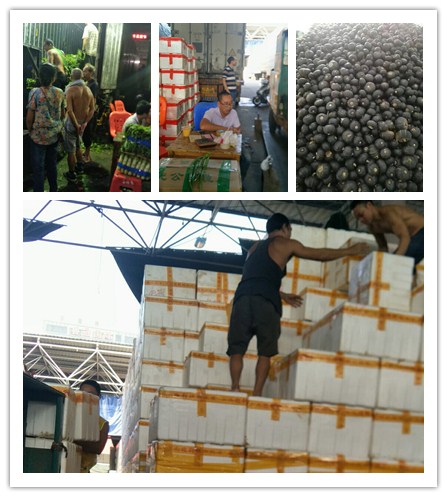 888集团电子游戏(中国游)有限公司官网