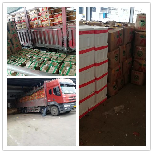 888集团电子游戏(中国游)有限公司官网