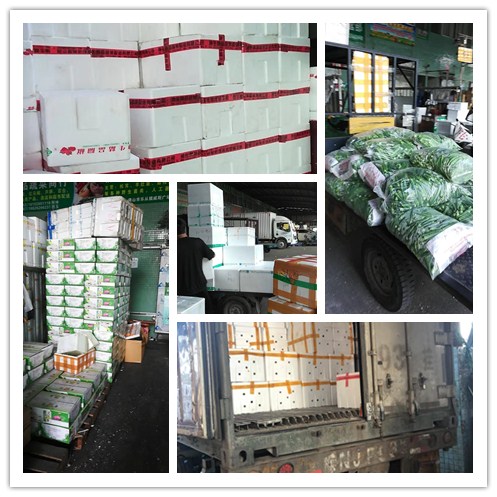 888集团电子游戏(中国游)有限公司官网