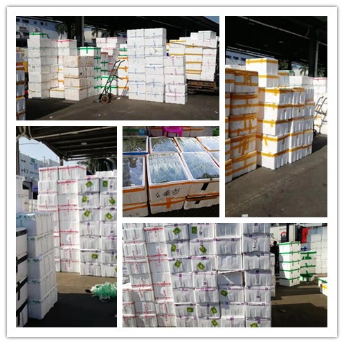 888集团电子游戏(中国游)有限公司官网