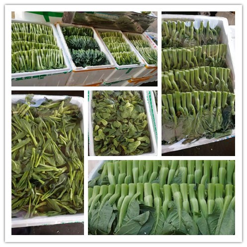 888集团电子游戏(中国游)有限公司官网