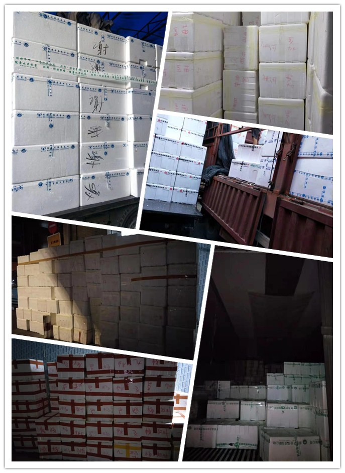 888集团电子游戏(中国游)有限公司官网