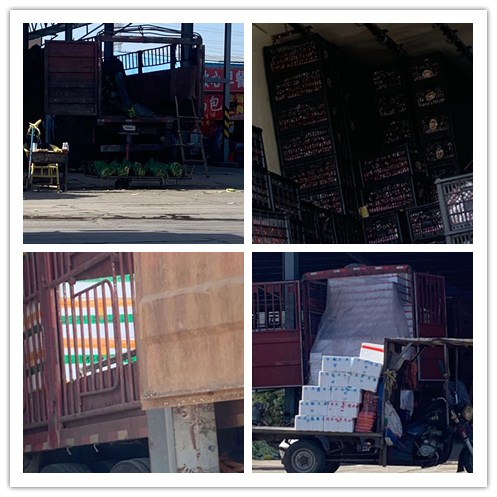 888集团电子游戏(中国游)有限公司官网